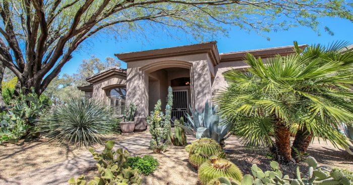 Best Landscaping Options For Arizona | MasterAZscapes LLC