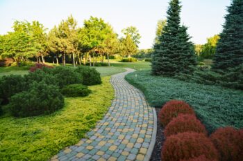 Landscape Designer Phoenix